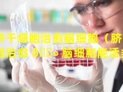 脐带干细胞治愈脑细胞（脐带干细胞治愈 🌻 脑细胞能活多久）